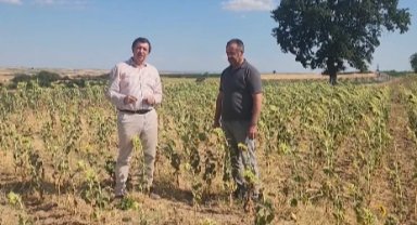 Gaytancıoğlu: Ayçiçeği fiyatı en az 25 TLolmalı