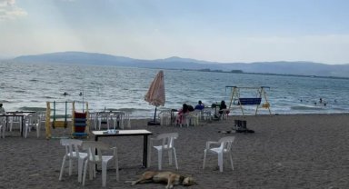İznikliler günün yorgunluğunu sahil ve parklarda atıyor