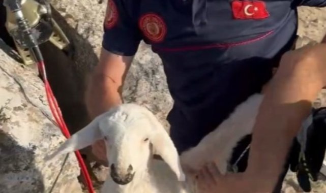 Kayseri İtfaiyesi mahsur kalan kuzuyu kurtardı