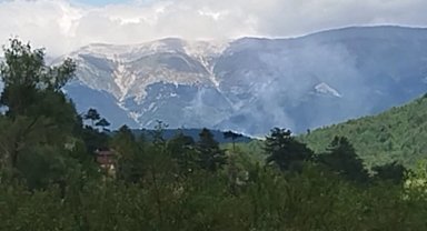 Keles'te orman yangını