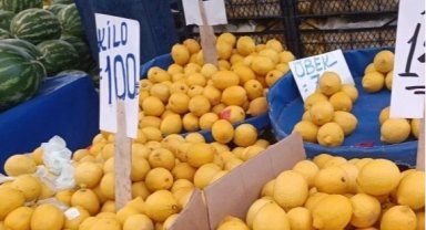 Limon üreticisinin sesine duyarsızlık fahiş fiyatlara neden oldu