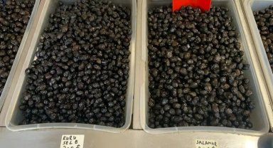 Meşhur İznik zeytininde fiyatlar ne durumda?