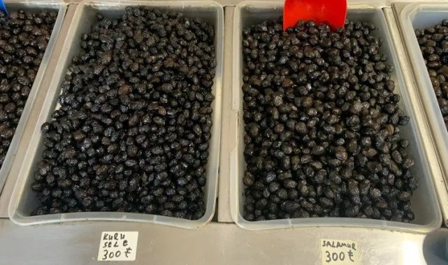 Meşhur İznik zeytininde fiyatlar ne durumda?