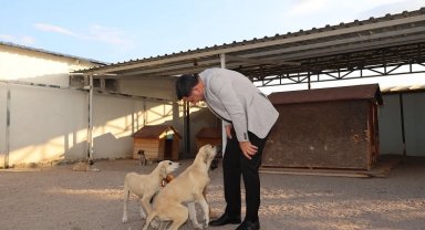 Nevşehir'e yeni Hayvan Kasabası