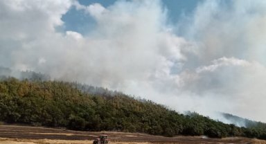 Orman İşletme Müdürü Ertunç Can Polat yangınlara karşı uyardı