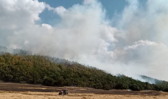 Orman İşletme Müdürü Ertunç Can Polat yangınlara karşı uyardı