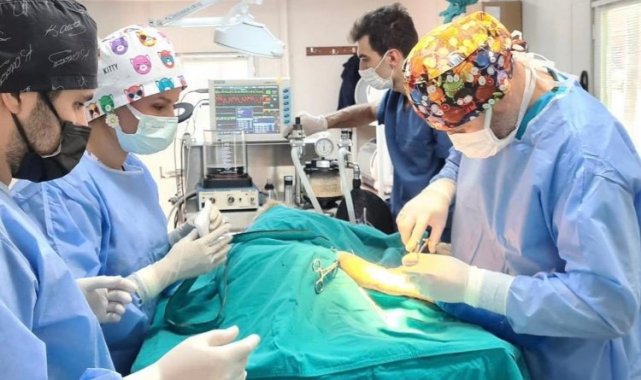 Osmangazi'de 6 ayda 2170 kedi ve köpek kısırlaştırıldı