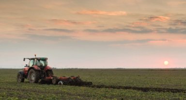 Planlı üretime kapsamlı destekleme