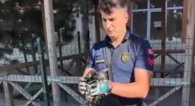 Sivas'ta düşen kediyi itfaiye ekipleri kurtardı