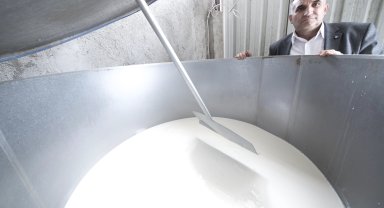 Süt fiyatlarında düşüş başladı