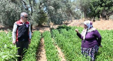 TAKE projesiyle İzmirli üreticiye destek atağı