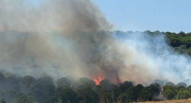 Yalova Armutlu'da iki ayrı noktada yangın! Müdahale sürüyor