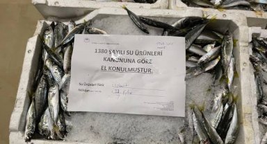 Yediemin'deki su ürünleri kaçıranlara hapis cezası!