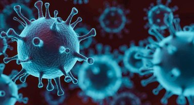 Bakanlık açıkladı... Türkiye'de 'M Çiçeği'ne rastlanmadı!