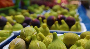 Bardacık festivaline ünlü yağdı