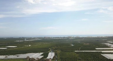 Başkan Geyikçi: "Böyle devam ederse sofraya koyacak ürün bulamayacağız"