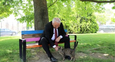 Başkan Şadi Özdemir'den sokak hayvanları açıklaması