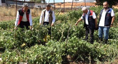 Bilecik Pazaryeri'nde yağıştan zarar gören arazilere yakın mercek