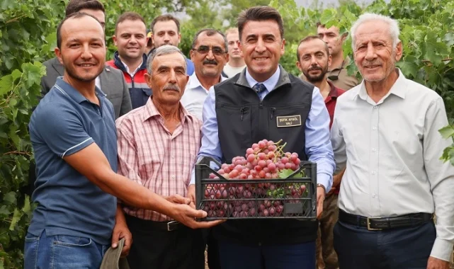Bilecik Valisi Aygöl, Harmanköy'de üzüm hasadında