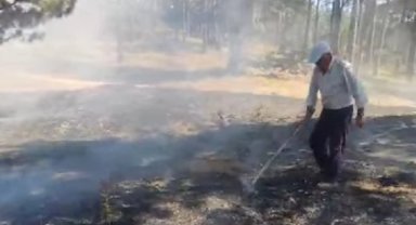 Bilecik'teki orman yangını korkuttu