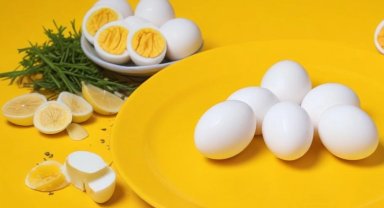 Biz Rumeliyiz Platformu'ndan 'yumurta' önerisi