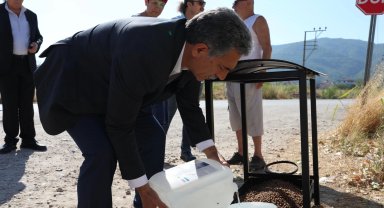 Bursa Gemlik'te sokaktaki canlara beslenme takviyesi