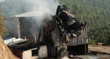 Bursa Harmancık'ta korkutan yangın!