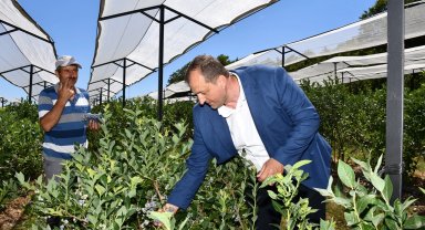 Bursa İznik tarımı için önemli adım