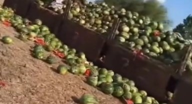 Bursa Karacabey'deki o görüntülere açıklama geldi