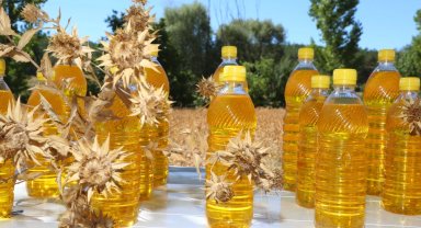 Bursa'da atıl arazilere 'aspir' dopingi