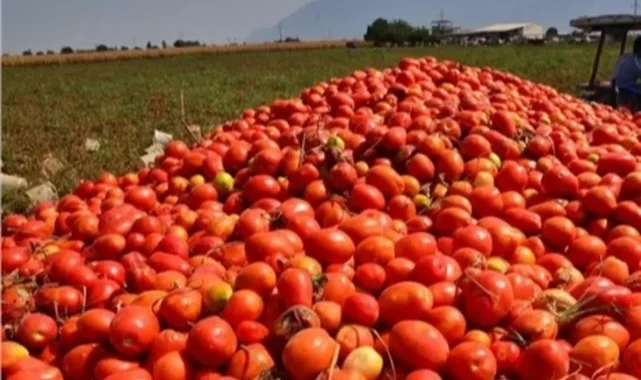 Bursa'da salça sezonu sürüyor