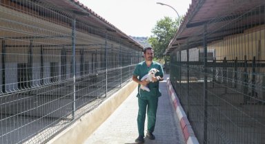 Can dostlarına sıkı tedavi