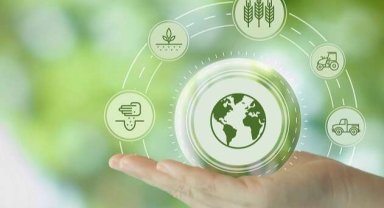 Çin'den karbon ayak izi hamlesi