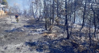 Düzce Yığılca'da çıkan yangına müdahale ediliyor