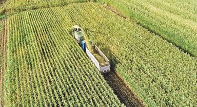 Ekilmeyen tarım arazisi devlet tarafından kiraya verilecek