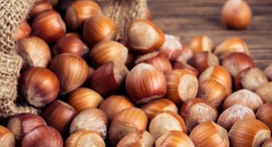 Fındık alım fiyatları belirlendi