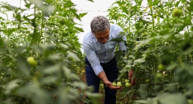 Gemlik Belediyesi Serasında yetişen ürünler Halk Büfe'lerde satışta