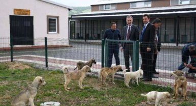 Hayvanları Koruma Kanunu 'Resmi'leşti!