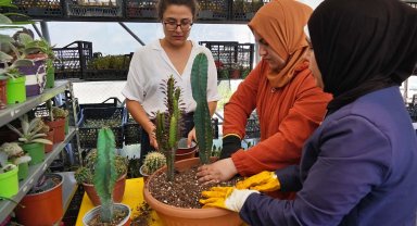 Hem tohumlar hem kadınlar güçleniyor