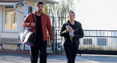 İnegöl'de 266 sokak hayvanı sahiplendirildi