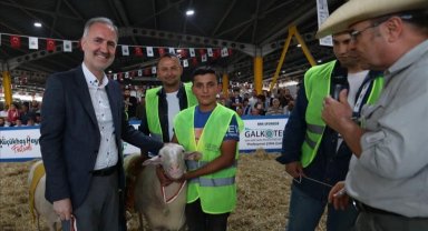 İnegöl'de yerli tavuk ırkları ile koçlar podyuma çıkacak
