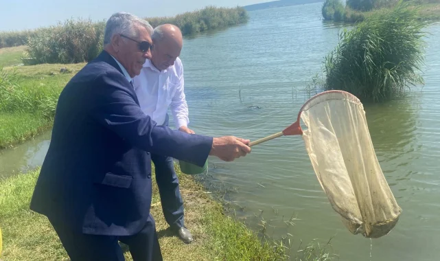İpsala'da yetiştirilen balıklar iç sulara bırakıldı
