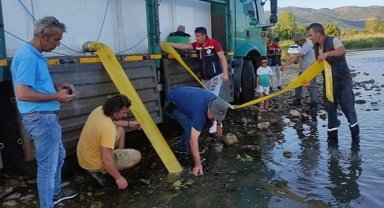 İpsala'dan Bursa'ya 3 milyon 350 bin yavru sazan