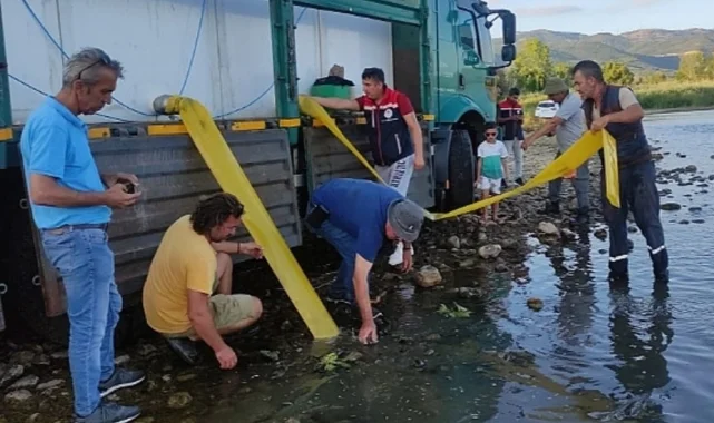 İpsala'dan Bursa'ya 3 milyon 350 bin yavru sazan
