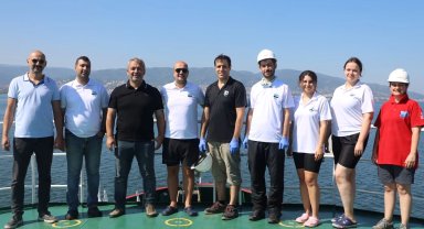 İzmit Körfezi'nde deniz ekosistemi hayat buluyor