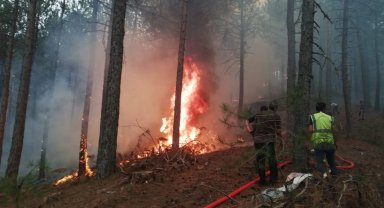 Muğla Büyükşehir orman yangınlarında tüm gücüyle sahada
