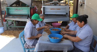 Muğla tarımı dünyaya açılıyor