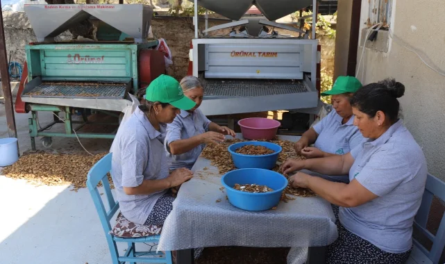 Muğla tarımı dünyaya açılıyor