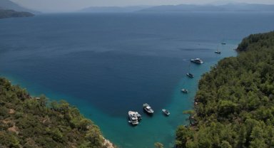 Muğla'ya 220 davalı koruma