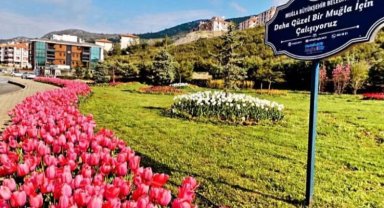 Muğla'ya 59 futbol sahası büyüklüğünde yeşil alan